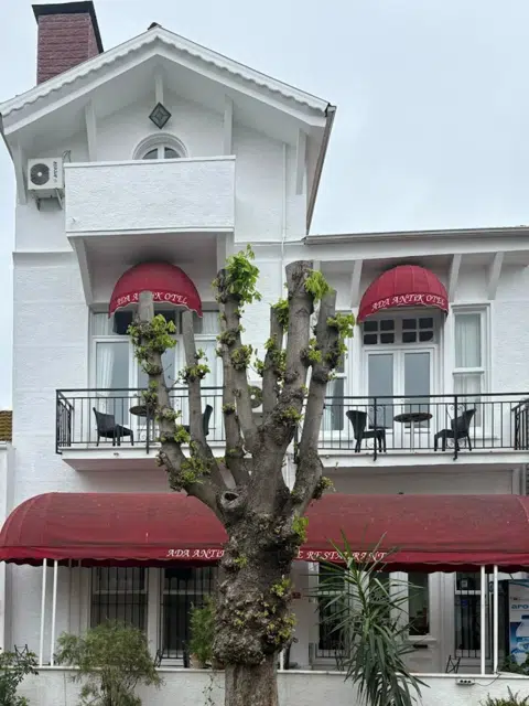 About hotel image